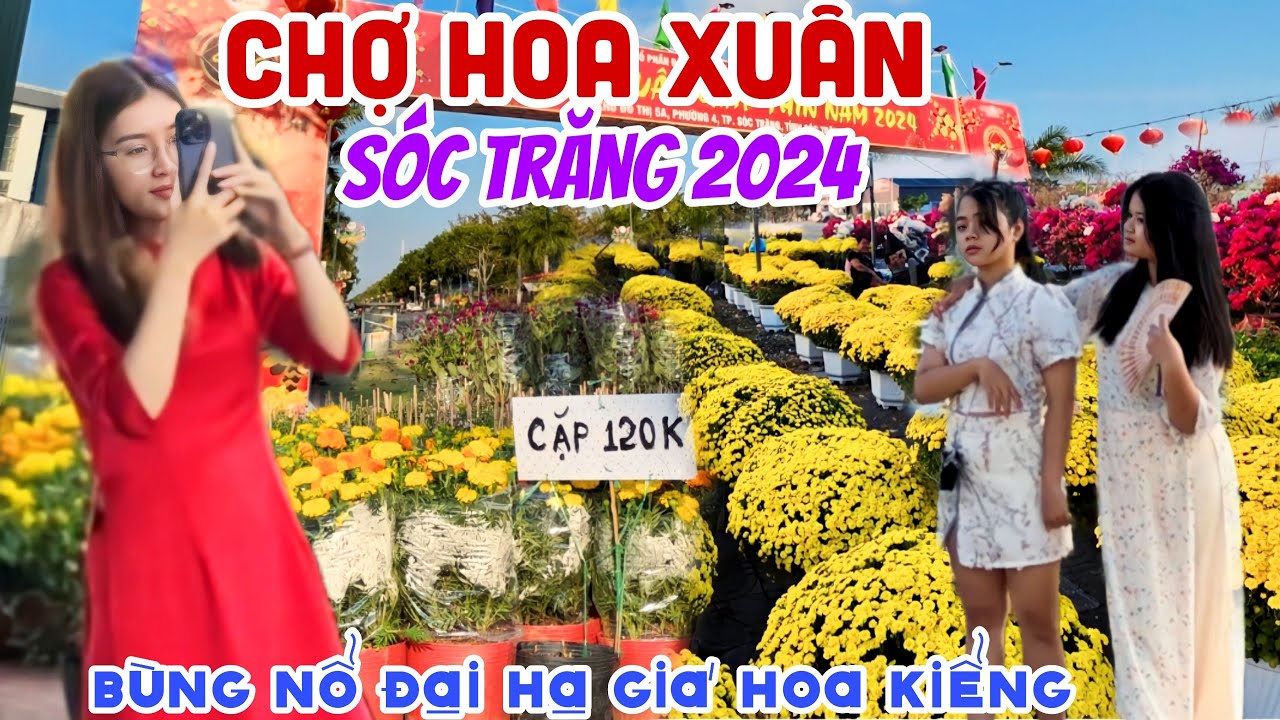 BÙNG NỔ CHỢ HOA TẾT SÓC TRĂNG 2024 - “Đại Hạ Giá” HÀNG LOẠT HOA KIỂNG, Thu Hút Người Đi | KPVL