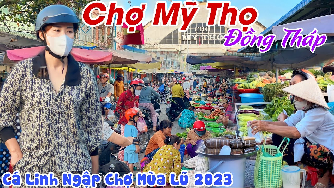 Cá Linh Non Ngập Chợ MÙA LŨ 2023 Tại CHỢ MỸ THỌ (CHỢ ÔNG BẦU), ĐỒNG THÁP - Hết Hồn KHU CHỢ MỚI|KPVL