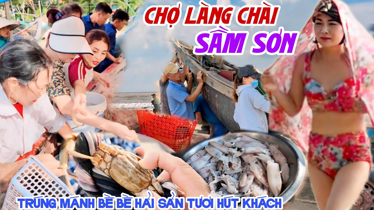 Trúng Mánh MÙA BỀ BỀ Cập Bến CHỢ LÀNG CHÀI SẦM SƠN THANH HOÁ Đã Mắt Hải Sản Tươi Ngon HÚT KHÁCH KPVL