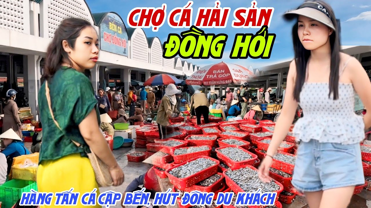 Lớn Khủng CHỢ CÁ HẢI SẢN ĐỒNG HỚI, QUẢNG BÌNH - Hàng Tấn Cá Cơm Đổ Bộ, DU KHÁCH CHEN NHAU MUA | KPVL