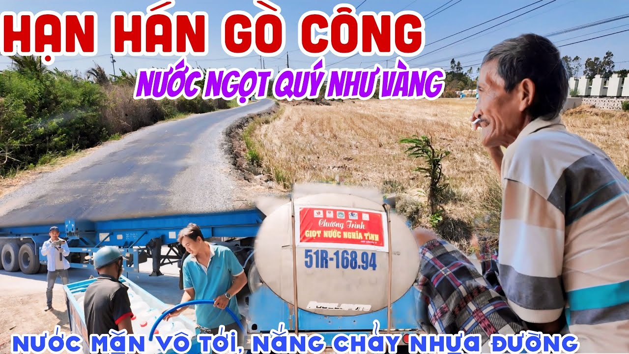 HẠN HÁN GÒ CÔNG 2024 NƯỚC NGỌT QUÝ NHƯ VÀNG, NẮNG CHẢY NHỰA ĐƯỜNG - HẠN MẶN TỚI RỒI | KPVL