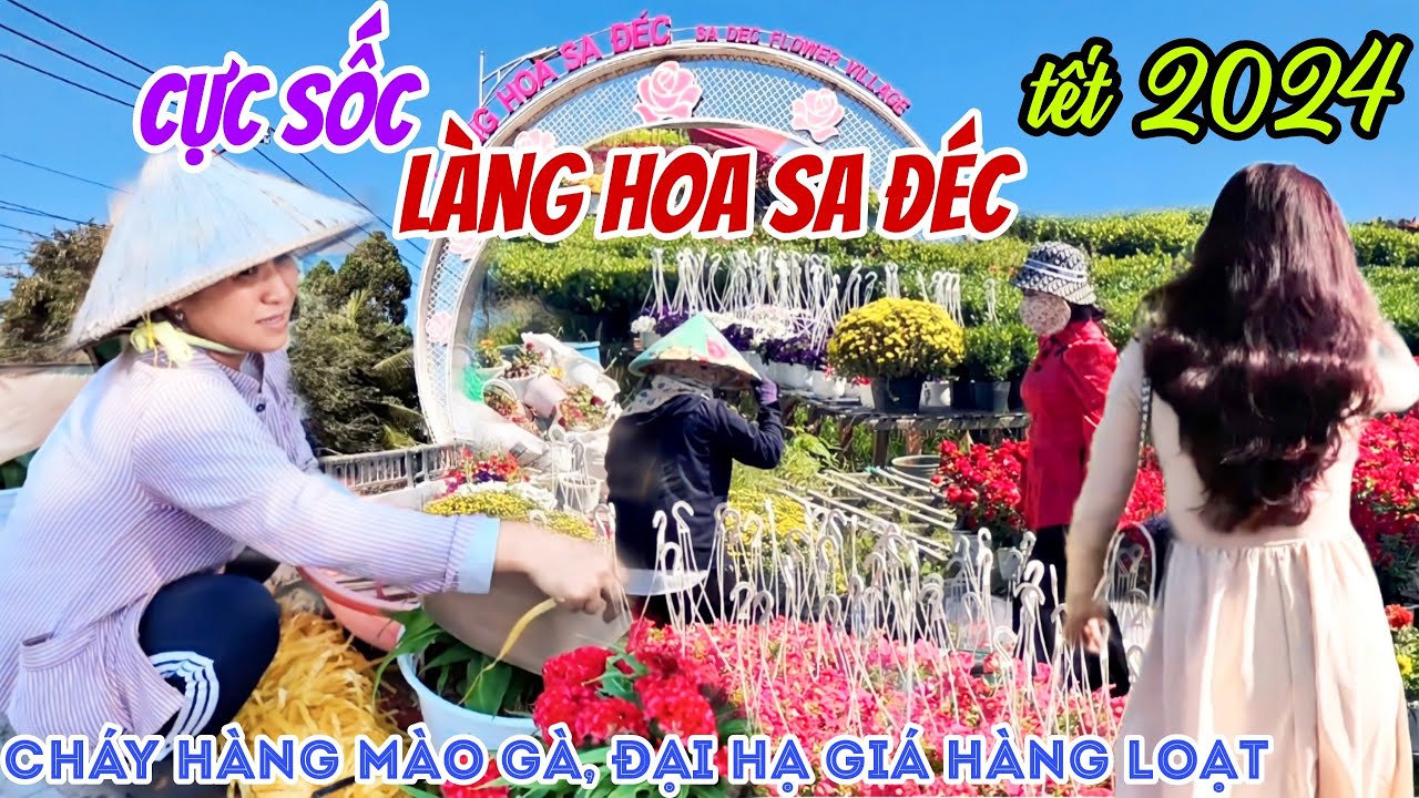 SỐC NẶNG: LÀNG HOA SA ĐÉC TẾT 2024 - “Cháy Hàng” MÀO GÀ, Đại Hạ Giá HOA TẾT HÀNG LOẠT Cận Tết |KPVL