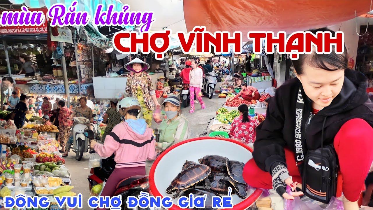 MÙA NƯỚC RẮN RÙA KHỦNG Tràn Lan CHỢ VĨNH THẠNH, CẦN THƠ - Đông Vui Khu CHỢ ĐỒNG GIÁ RẺ | KPVL