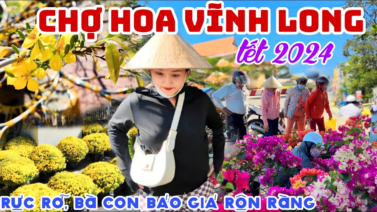 Quá Đẹp VĨNH LONG CHỢ HOA TẾT 2024 - Rực Rỡ Rộn Ràng BÁO GIÁ HOA TẾT,MAI VÀNG DƯA HẤU TẾT ĐỔ BỘ|KPVL