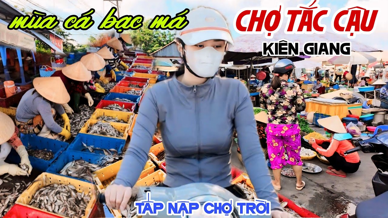 Quá Đẹp CHỢ CÙ LAO TẮC CẬU KIÊN GIANG Mùa Cá Bạc Má TẤP NẬP CHỢ CHỒM HỔM Làng Việt Kiều Ế NHỆ | KPVL