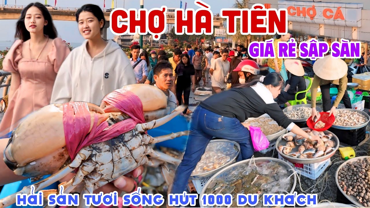 Ngỡ Ngàng BÁO GIÁ CHỢ HẢI SẢN TƯƠI SỐNG HÀ TIÊN GIÁ RẺ SẬP SÀN - Hàng 1000 Du Khách Đổ Bộ  | KPVL