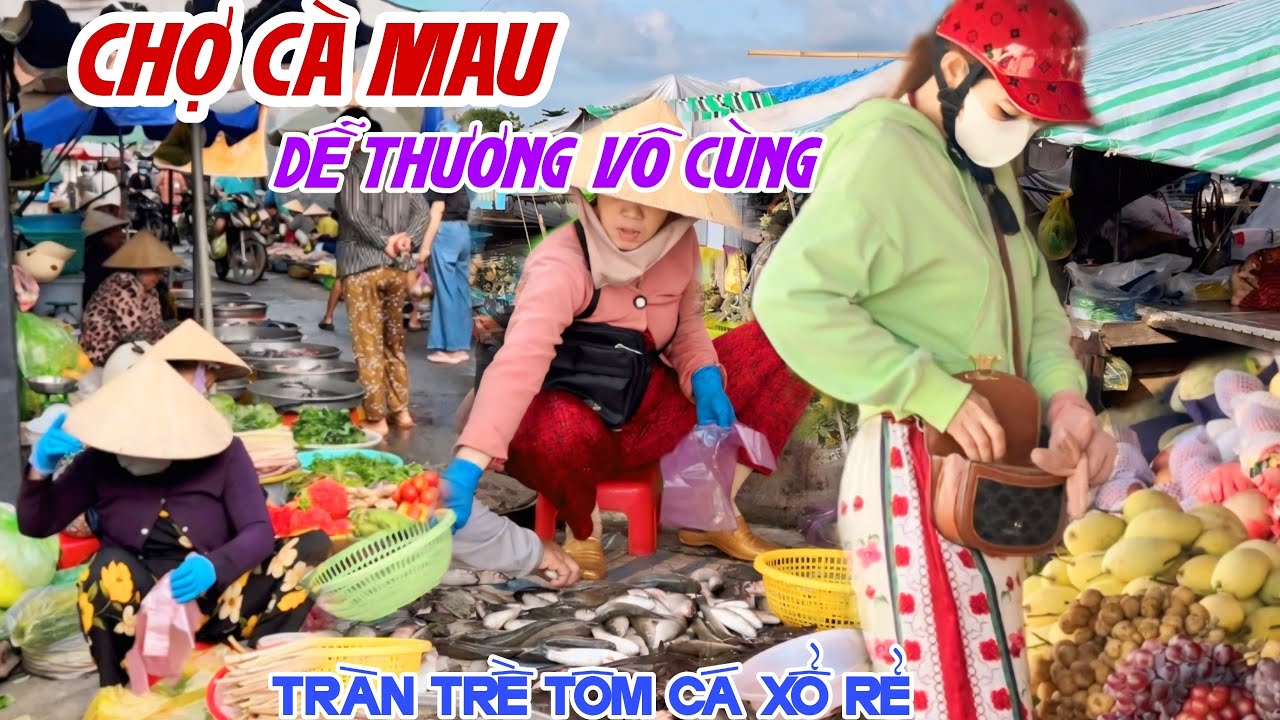 VỀ XỨ RỪNG ĐI CHỢ CÀ MAU - CÁ TÔM TRÀN TRỀ CHỢ PHƯỜNG 7 Người Cà Mau Dễ Thương Vô Cùng | KPVL