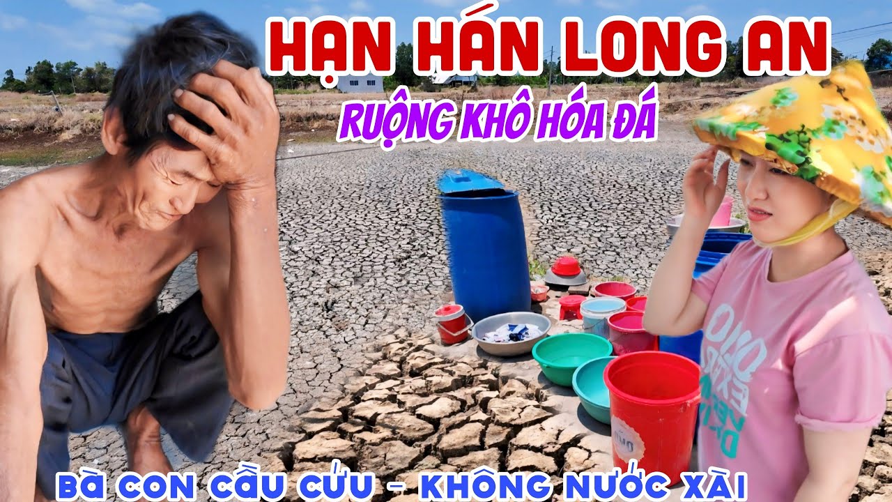 HẠN HÁN LONG AN RUỘNG KHÔ HOÁ ĐÁ,NƯỚC NGỌT MẮC NHƯ VÀNG 200K/KHỐI, Bà Con KHỔ THẤU TRỜI | KPVL