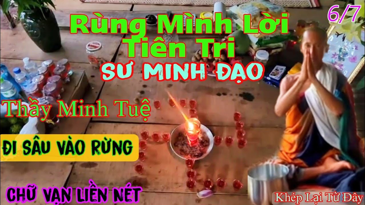 Thầy Minh Tuệ Đi Sâu Vào Rừng Chữ Vạn Bỗng Dưng Liền Nét Rùng Mình Lời Tiên Tri Của Sư Minh Đạo