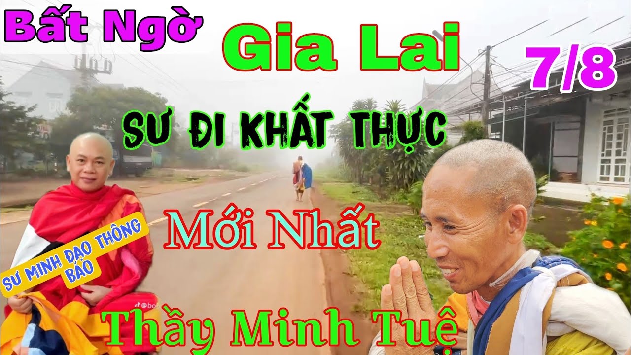 Mới Nhất Thầy Minh Tuệ 7/8 Bất Ngờ Sư Đi Khất Thực Sư Minh Đạo Thông Báo Quan Trọng