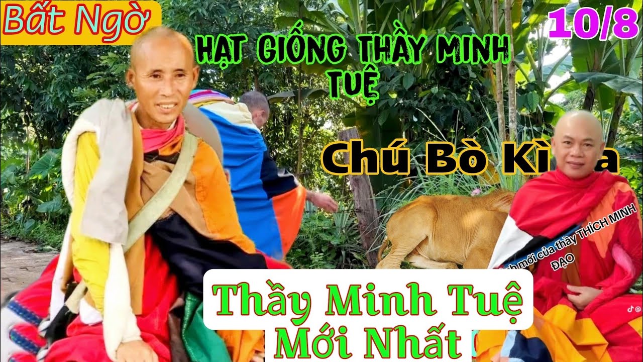 Sư Minh Đạo Và Hạt Giống Thầy Minh Tuệ Đã Làm Được Điều Khiến Ai Cũng Phải Khóc