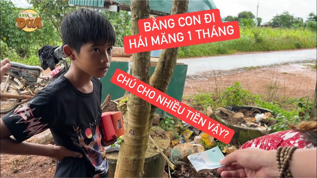 Mẹ con đồng bào Mông hết sạch tiền bỗng “trúng số” bằng cả tháng lên rừng hái măng