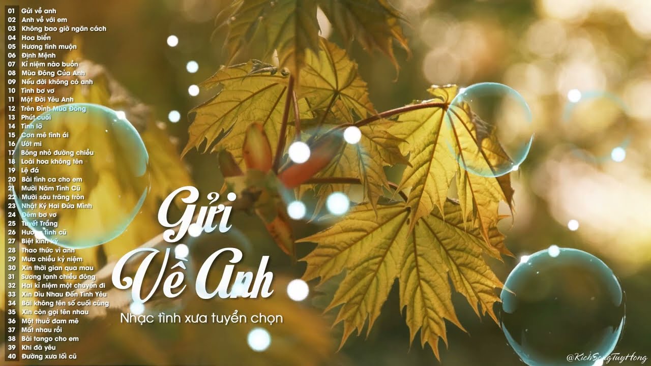 Gửi Về Anh - 40 bài nhạc tình xưa tuyển chọn nghe hoài không chán