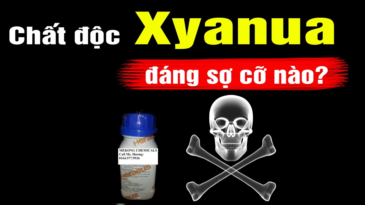 Xyanua độc cỡ nào? Giải thích dễ hiểu nhất