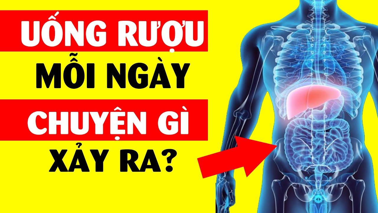 Uống rượu mỗi ngày, cơ thể sẽ ra sao?