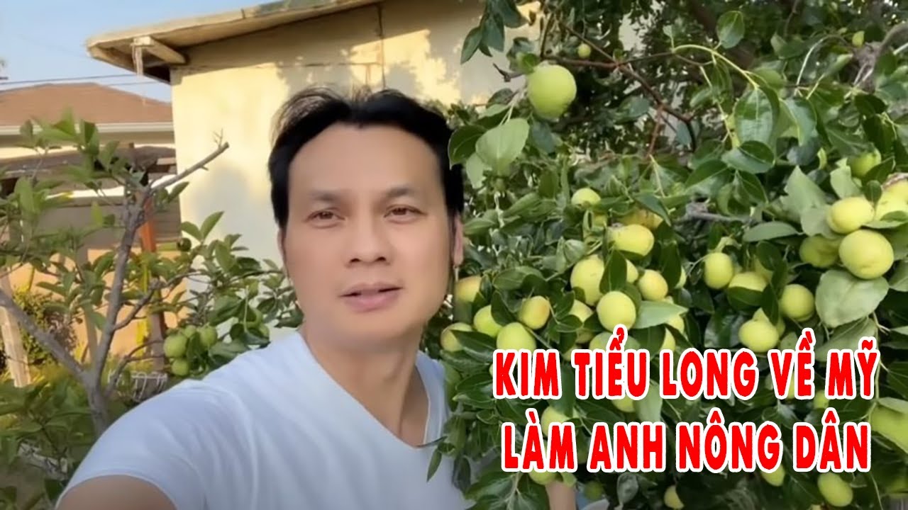 Kim Tiểu Long Ngày Đầu Về Mỹ Hóa Anh Nông Dân Làm Vườn Cực Chất