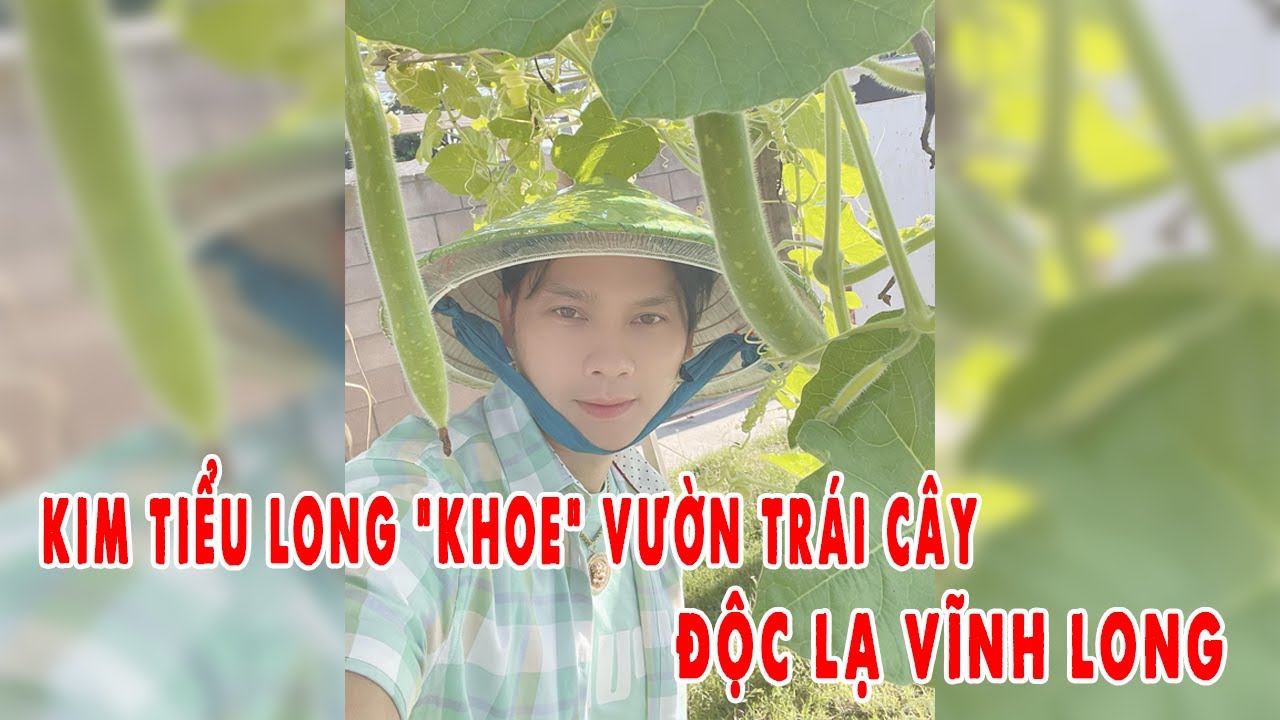 Kim Tiểu Long Về Thăm Quê Nhà Chia Sẻ Vườn Trái Cây Độc Lạ Vĩnh Long