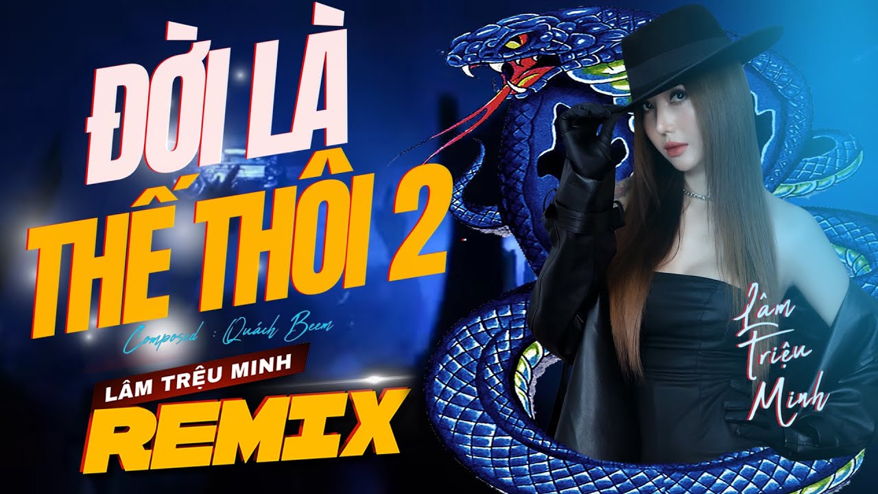 Remix Đời Là Thế Thôi 2 (Quách Beem) Lâm Triệu Minh Cover | Anh em đã sống vì mình???