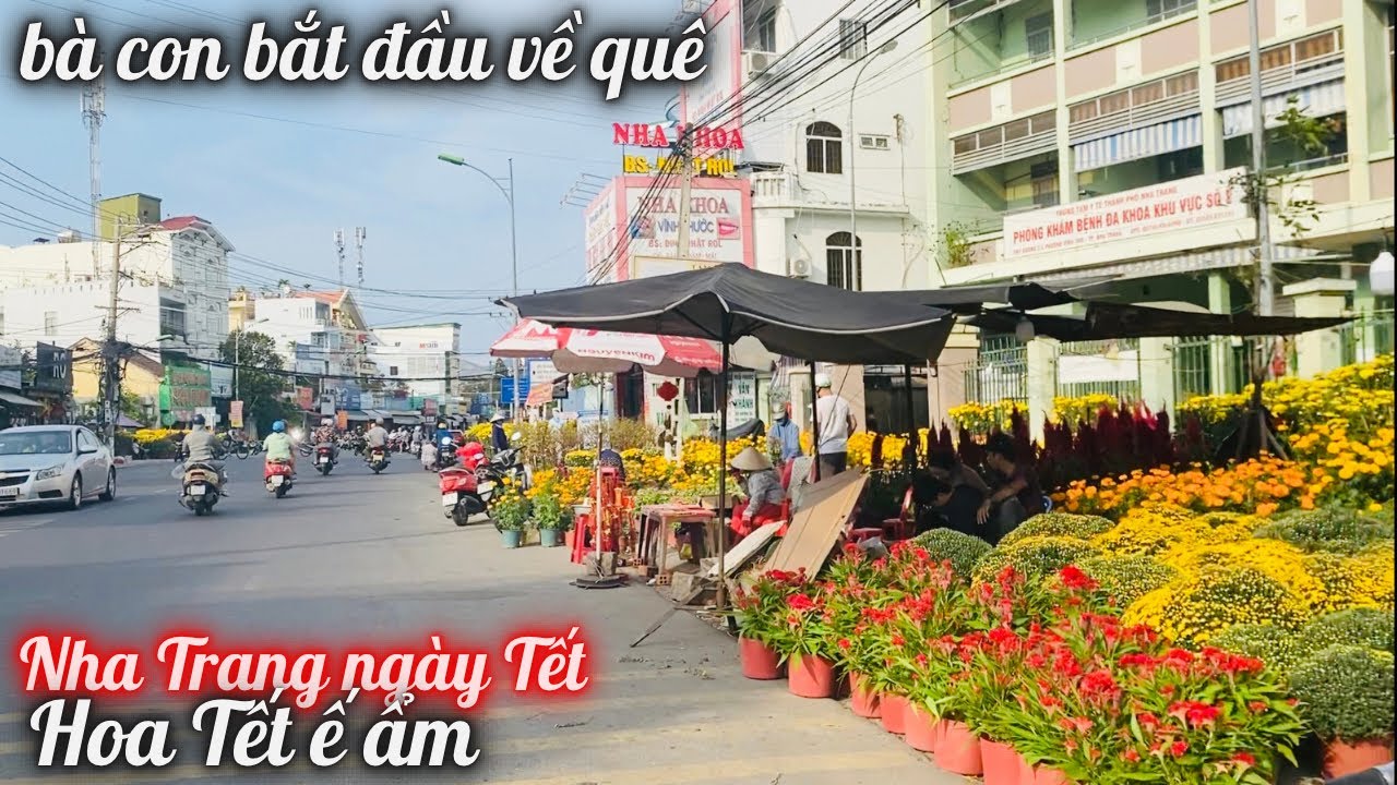 Hoa Ngày Cận Tết Ế Ẩm Nhiều Tiểu Thương Bắt Đầu Bán Xả Lổ Về Quê. Cảm Ơn Nhà Họ Nguyễn-Phạm Canada