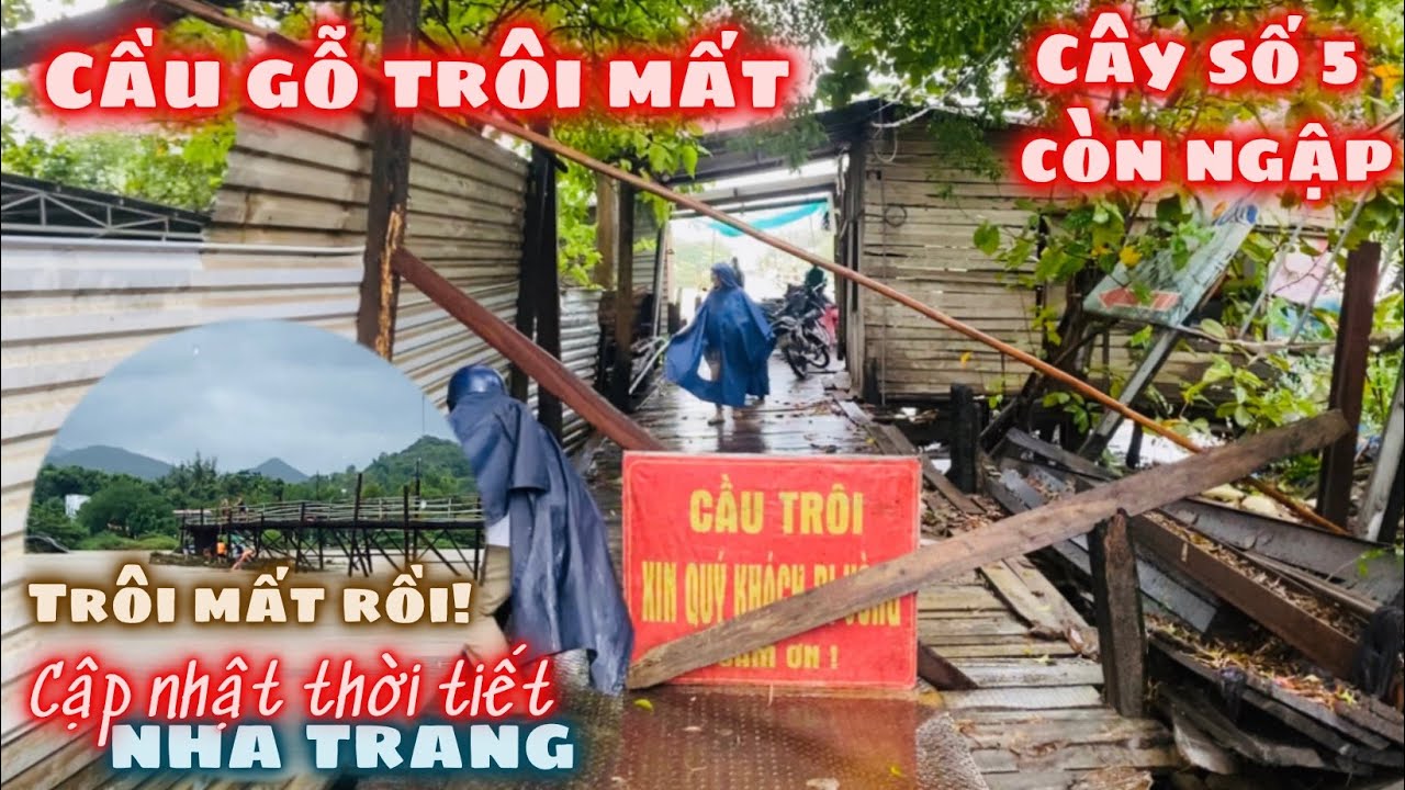 Cầu Gỗ Vĩnh Ngọc Trôi Nửa Cây Cầu, Nhiều Chỗ Còn Ngập Nặng Hàng Loạt Xe Máy Không Dám Liều Vượt Rào