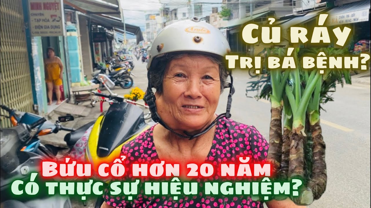 Củ Ráy Bạc Hà Núi Trị Bá Bệnh Liệu Có Thực Sự Hiệu Nghiệm? GĐ Cô Gấm Cảm Ơn MTQ Giúp Trả Tiền Lo Đám