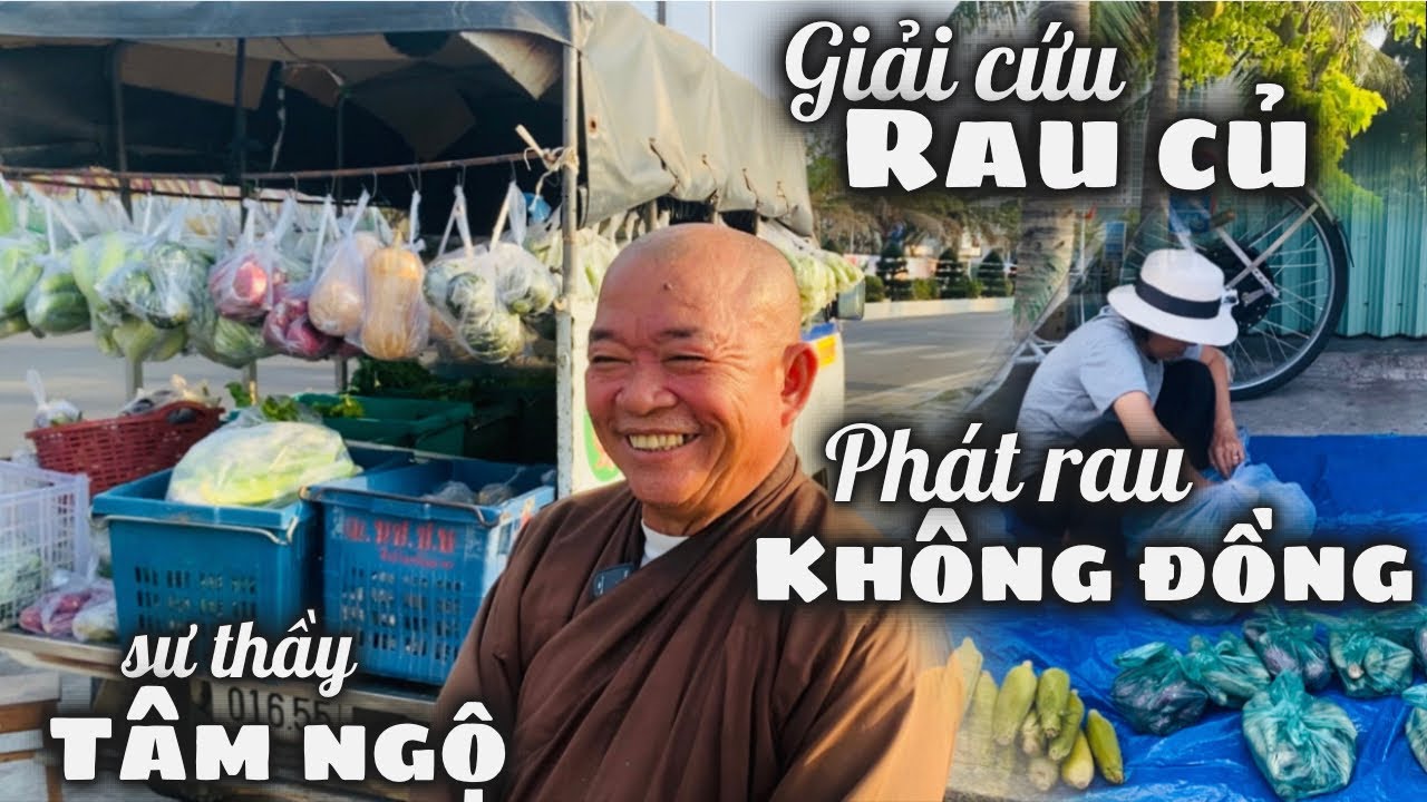 Gặp Lại Sư Thầy Tâm Ngộ Bán Rau Dạo. Chị Ba La Mật Giải Cứu Rau Phát Miễn Phí Đến Xóm Nghèo Lò Heo