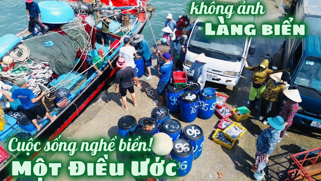 Nét Đẹp Quê Hương l Cuộc Sống Làng Biển