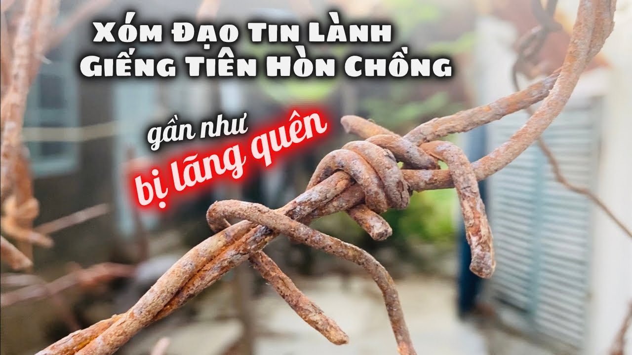 Xóm Đạo Tin Lành GIẾNG TIÊN HÒN CHỒNG. Xóm Đồi Dốc Bên Tu Viện La San Gần Như Bị Lãng Quên Hiện Nay