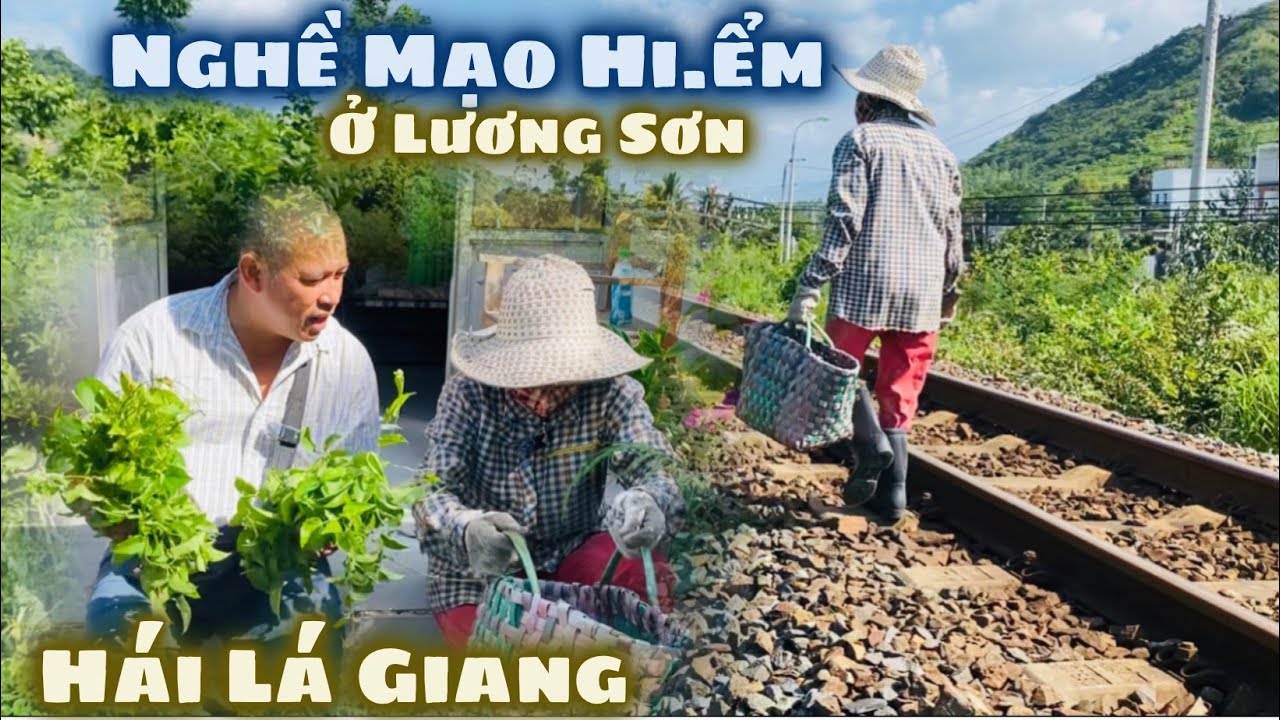 Cô Sáu Hái Lá Giang Mọc Dại Quanh Đường Tàu. Nghề M.ạo Hi.ểm Mưu Sinh Vì Hoàn Cảnh Quá Khó Khăn