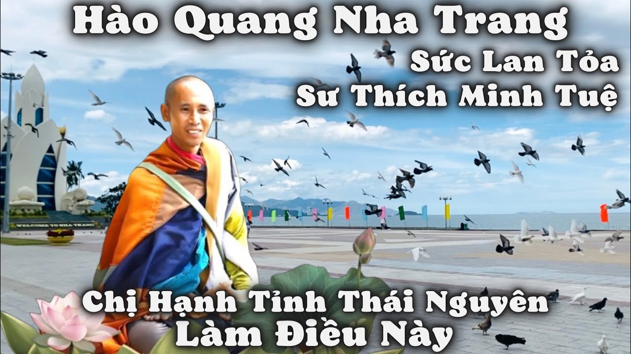 Chị Hạnh Từ Tỉnh Thái Nguyên Lặn Lội Vào Nha Trang Chỉ Để Làm Điều Này. Hào Quang Sư Thích Minh Tuệ