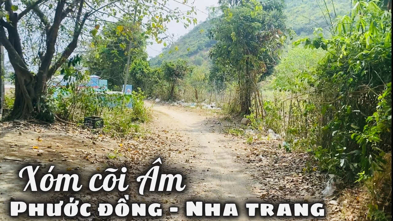 Xóm Cõi Âm Nhiều Phụ Nữ Kiếm Sống Bằng Nghề Chăm Sóc Mồ Mả Lúc Nửa Đêm. Tấm Lòng Từ Ac MINH HÒA 🇨🇦