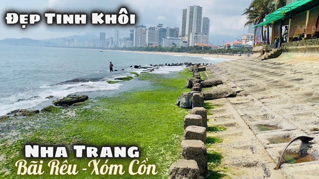 Nét Đẹp Nha Trang Khi Vào Mùa Rêu Bên Xóm Cồn Lầu Ông Tư. Các MTQ Đồng Hành Quán Cơm 2K Chợ Đầm