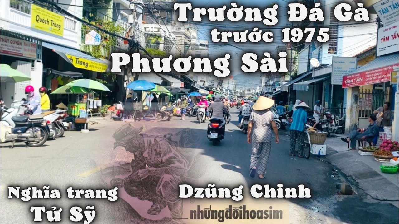 Những Đồi Hoa Sim Nhạc Sĩ Dzũng Chinh. Từ Nghĩa Trang Tử Sỹ Đến Trường Gà Ông Nguyễn Cao Kỳ Hay Ghé