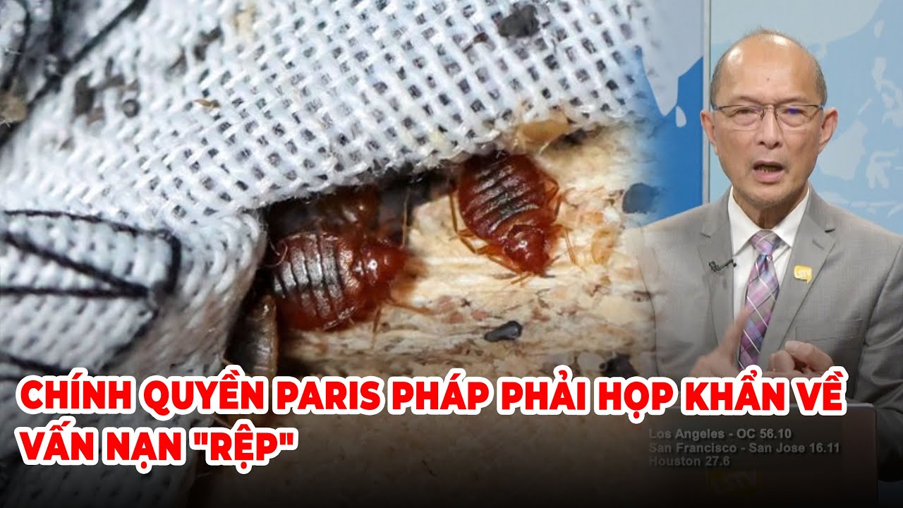 Thời Sự Thế Giới P2 (10-05-23) Chính quyền Paris Pháp phải họp khẩn về vấn nạn "Rệp"