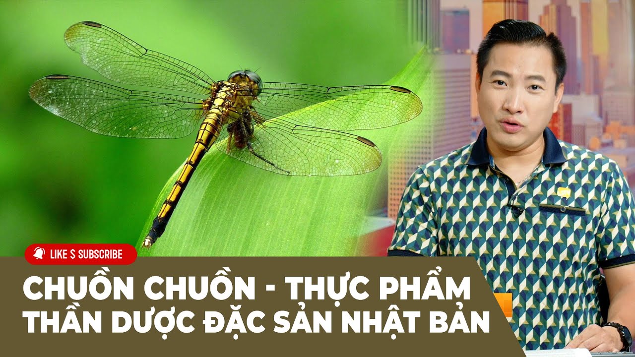 Cà Phê Sáng Cuối Tuần P3 (09-08-24) Chuồn chuồn - Thực phẩm thần dược đặc sản Nhật Bản