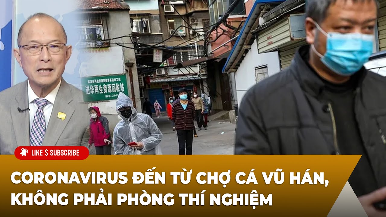 Thời Sự Thế Giới P3 (09-20-24) ᴄᴏʀᴏɴᴀᴠɪʀᴜs đến từ chợ cá Vũ Hán, không phải phòng thí nghiệm