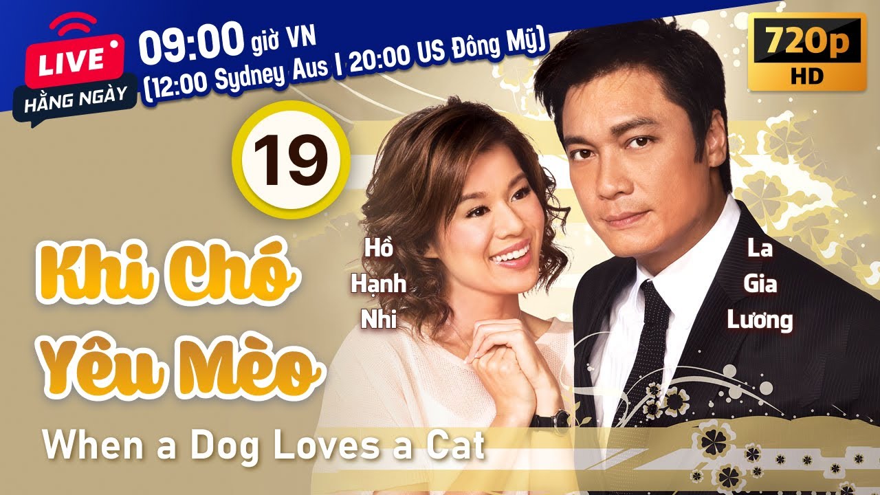 TVB Khi Chó Yêu Mèo tập 19/20 | tiếng Việt | La Gia Lương, Hồ Hạnh Nhi, Liêu Bích Nhi | TVB 2008