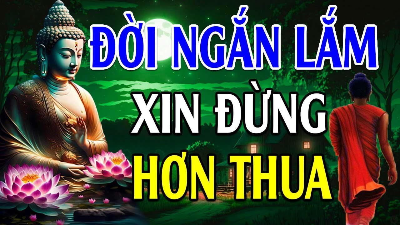 Đời Ngắn Lắm Sống Đừng Có Tính Hơn Thua Mà Khổ - Lời Phật Dạy Thấm Lắm