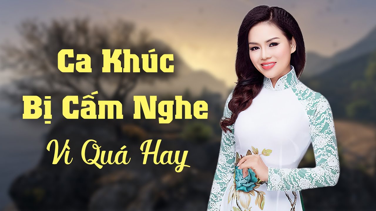 Ca khúc từng bị "cấm nghe" vì quá hay - Ca nhạc phòng trà hay nức nở - LK Chiều mưa biên giới