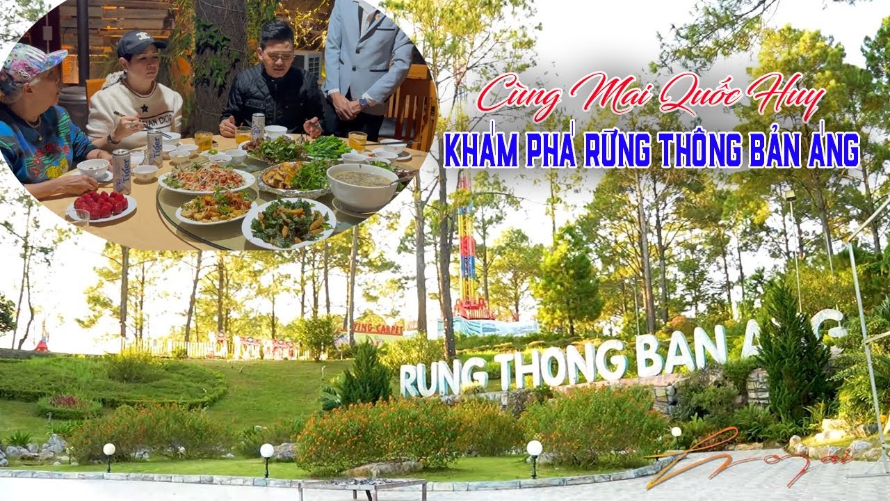 BẢN ÁNG RỪNG THÔNG - SÁNG TÁC VÀ TRÌNH BÀY MAI QUỐC HUY