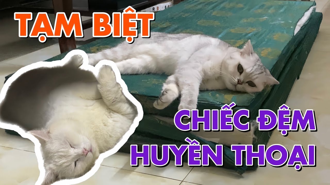 Sướt mướt chia tay chiếc đệm huyền thoại của May và July | maly.gaugau