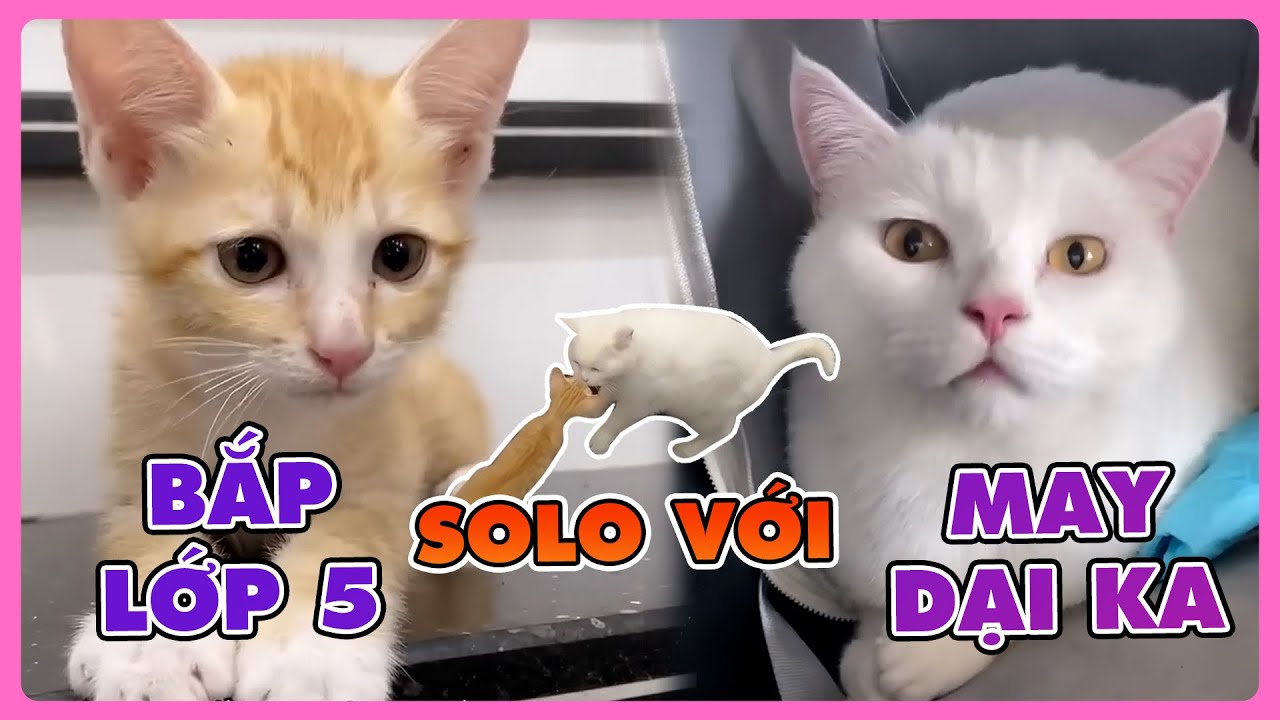 Bắp lớp 5 solo với May đại ka | maly.gaugau