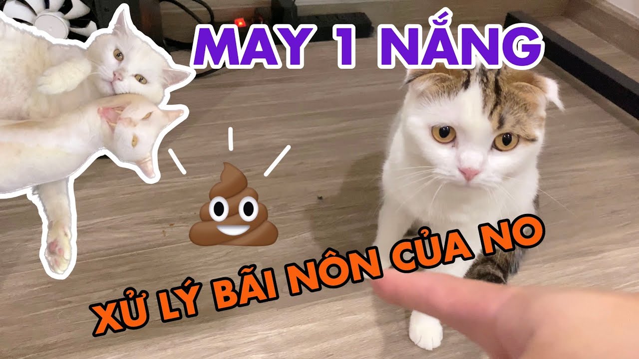 No nôn khắp nhà khiến May phải đi dọn hộ và cái kết | maly.gaugau