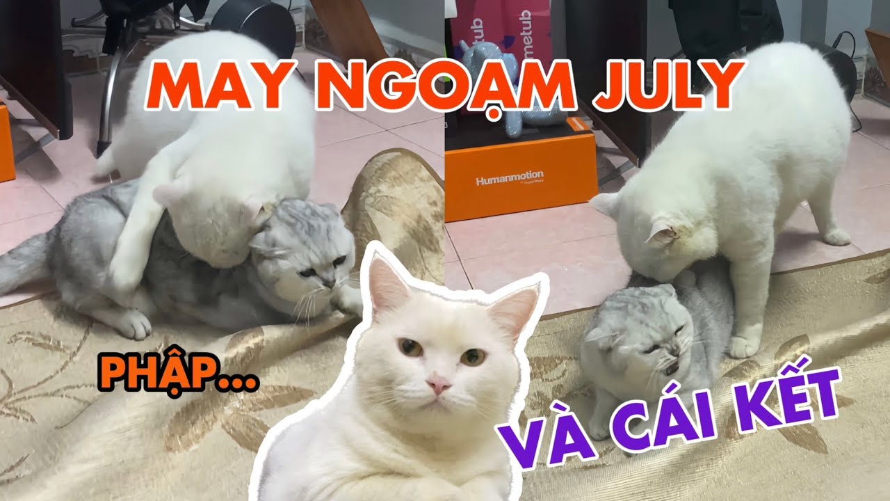 May ngoạm July và cái kết ấm cúng | maly.gaugau