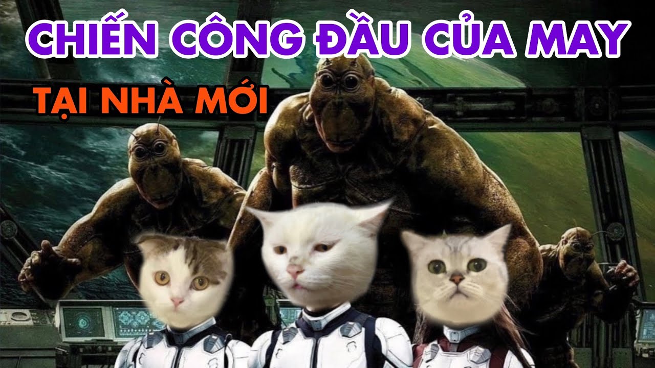 Chiến công hiển hách của May tại nhà mới và cái kết | maly.gaugau