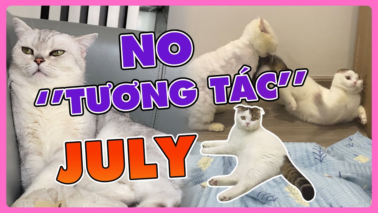 No tương tác khiến July tí thì bó bột | maly.gaugau