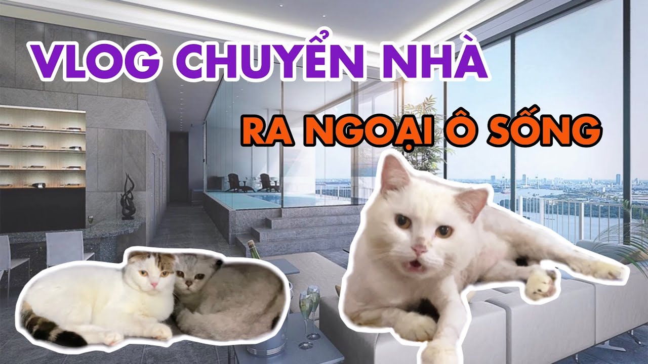 Vlog chuyển về nhà mới của May, July và No (chuyển thật) | maly.gaugau