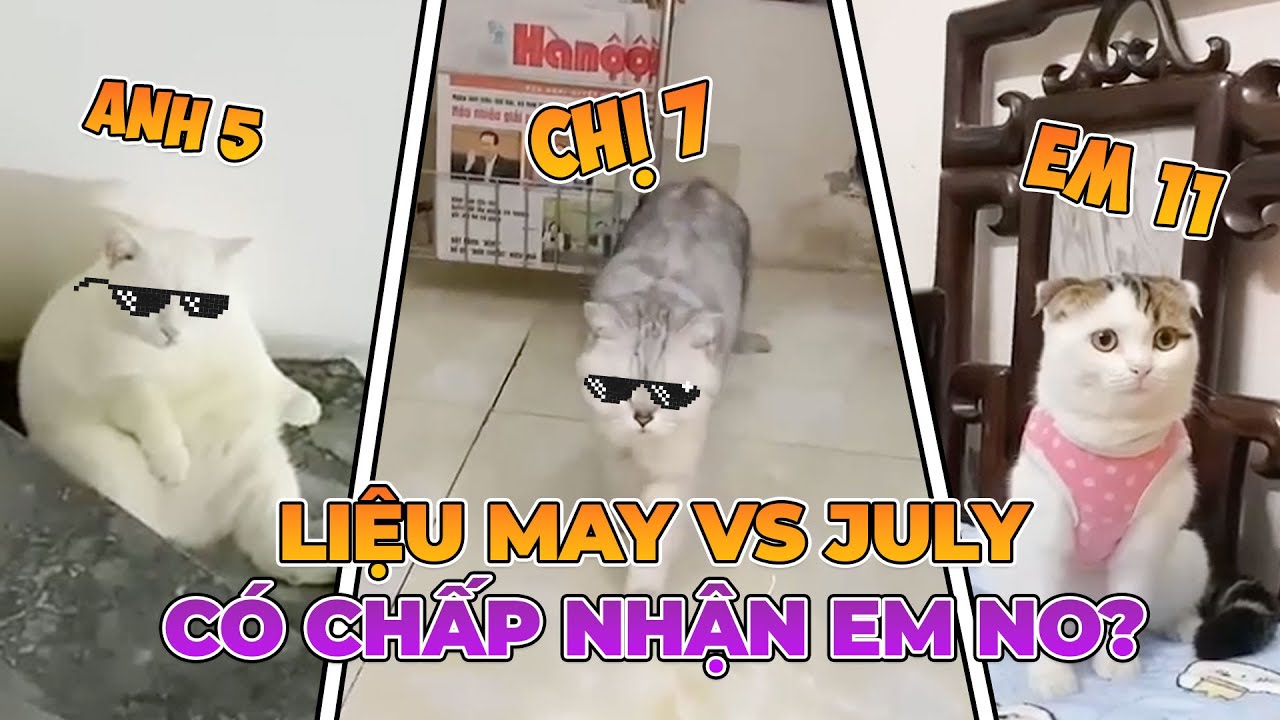 Liệu Anh 5 Với Chị 7 Có Chấp Nhận Em 11 | maly.gaugau