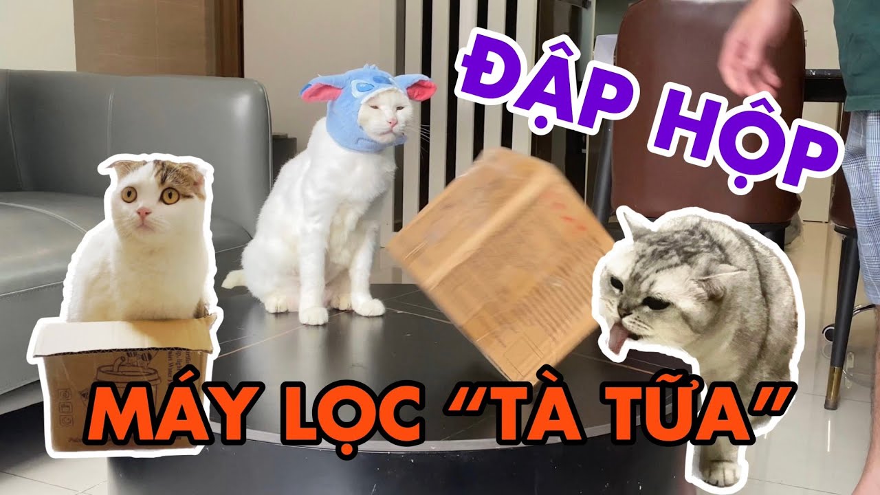 Cùng May đập hộp máy lọc "tà tữa" mới tinh không 1 vết xước | maly.gaugau