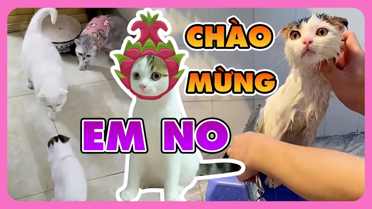 Lần đầu tiên bé "No" có trong nhà của May và July" | maly.gaugau